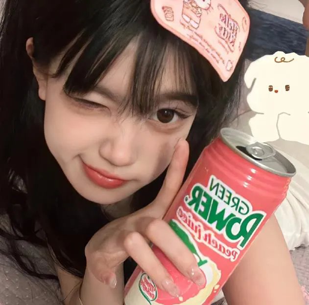 狐蝠