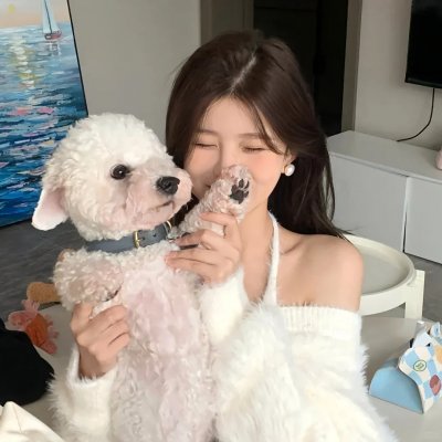 萌犬流浪记